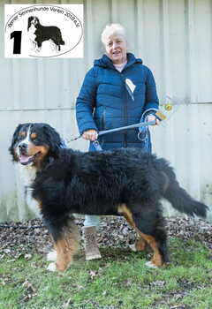 Banuk Brasil von den Bruner Hohen