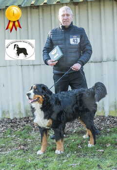 Schonster NW R Simba Xaver vom Wangersimmerhof